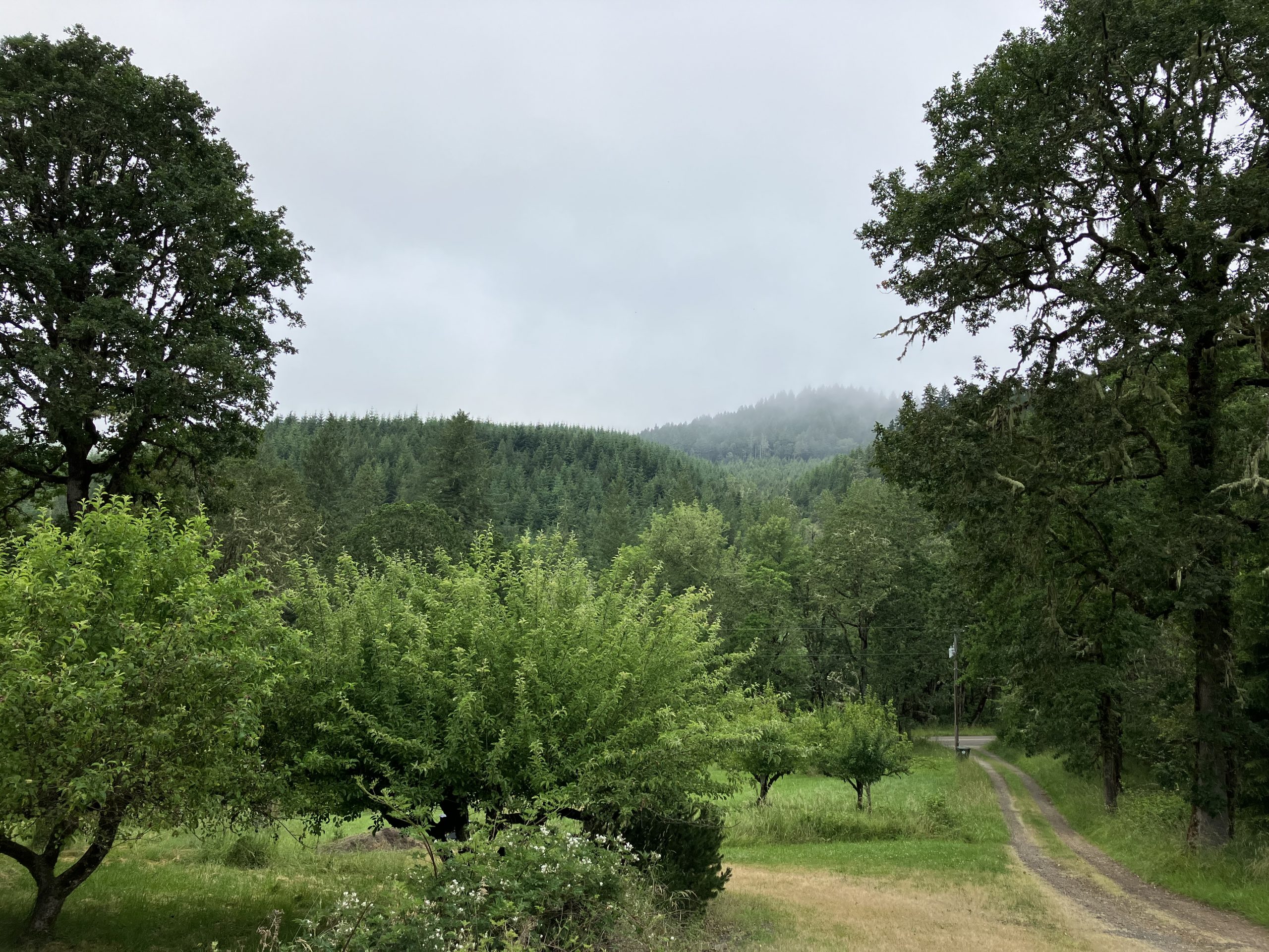September 2024 – Easy Does It