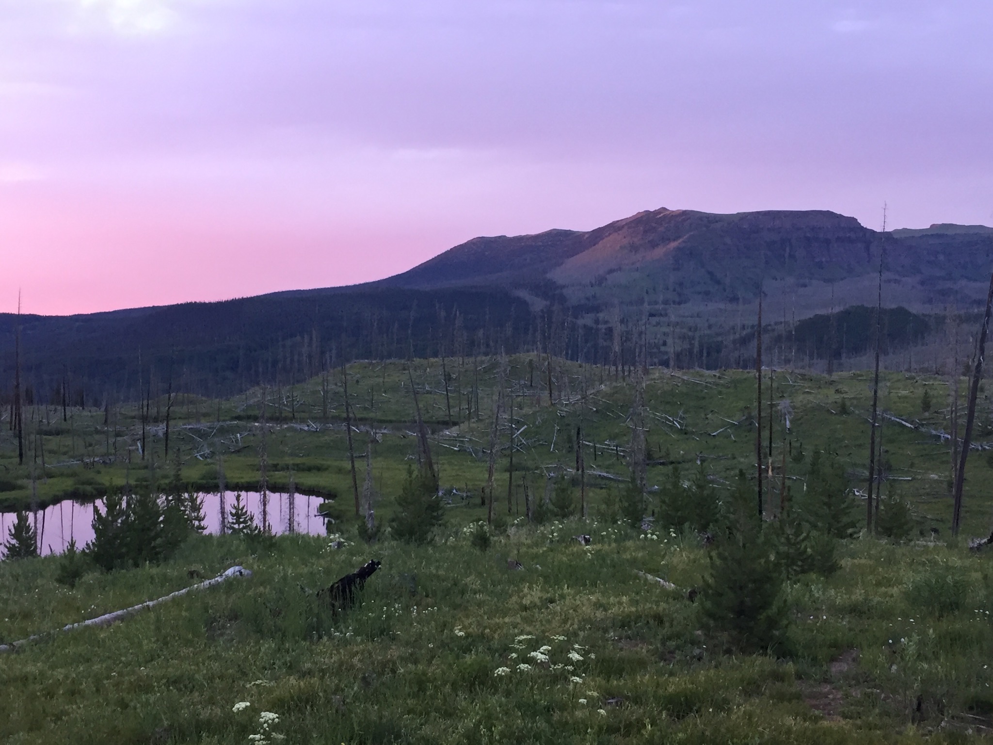 July 2024 – Here it Comes