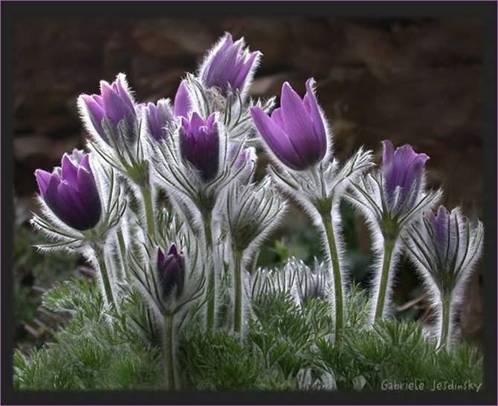 May 2024 – The birth of Twins